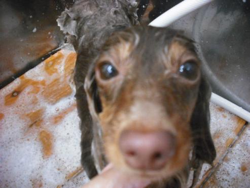 ファイル 354-3.jpg