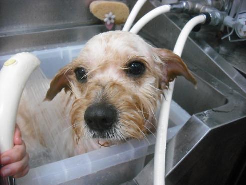 ファイル 3540-2.jpg