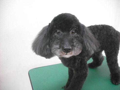 ファイル 3541-1.jpg