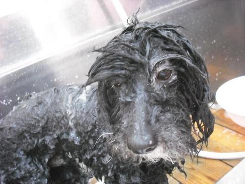 ファイル 3541-2.jpg