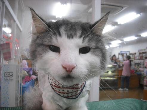 ファイル 3542-1.jpg