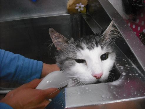 ファイル 3542-2.jpg