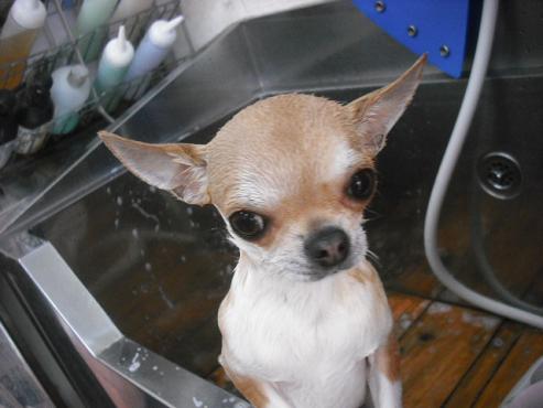 ファイル 3543-2.jpg