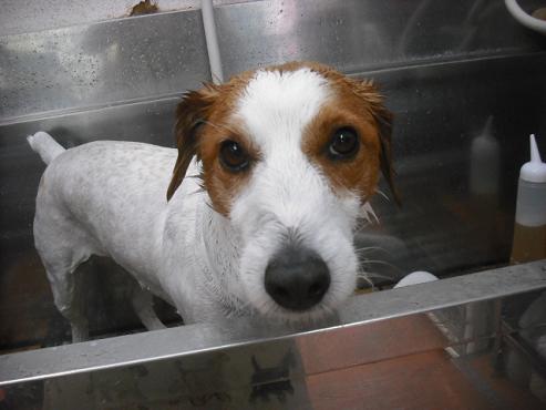 ファイル 3544-2.jpg