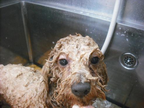 ファイル 3545-2.jpg