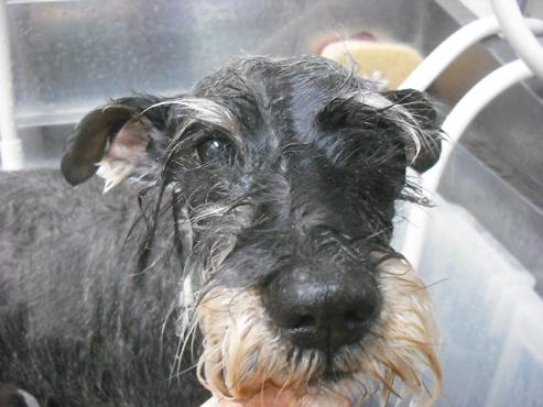 ファイル 3546-2.jpg