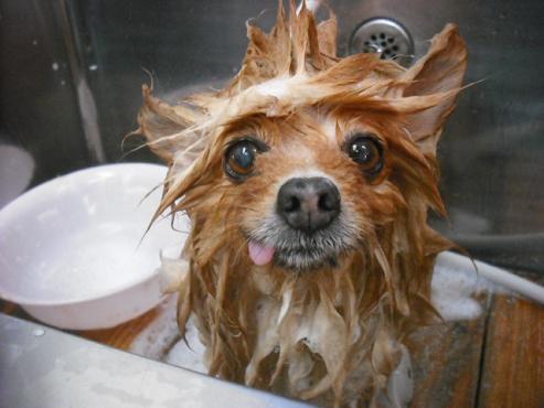 ファイル 3547-2.jpg