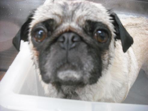 ファイル 3548-2.jpg