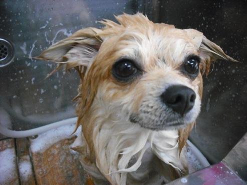 ファイル 3549-2.jpg