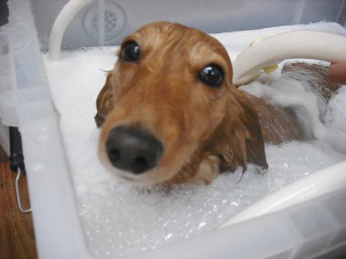 ファイル 355-2.jpg