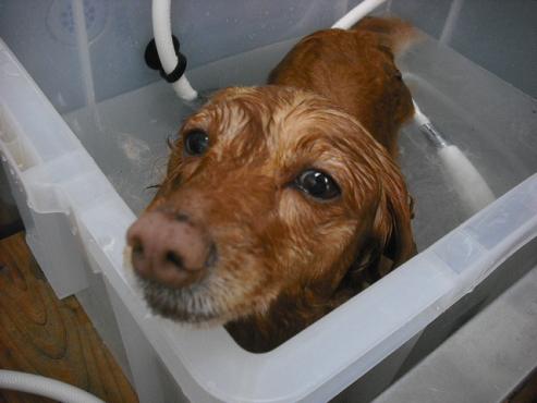 ファイル 3550-2.jpg