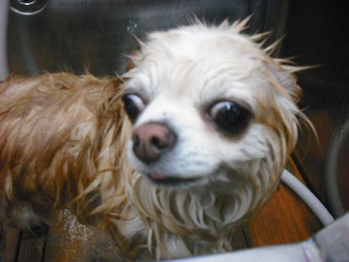 ファイル 3551-2.jpg