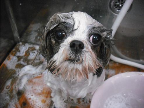 ファイル 3552-2.jpg