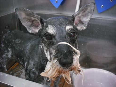 ファイル 3553-2.jpg