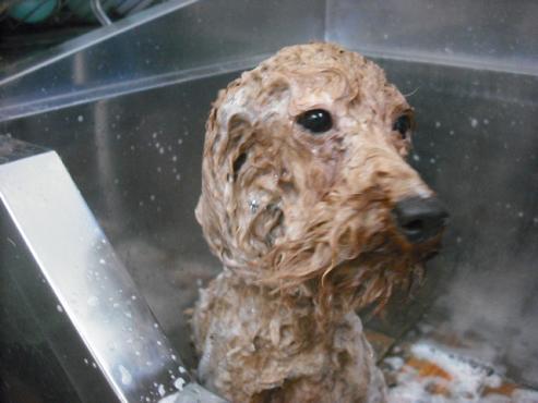 ファイル 3555-2.jpg