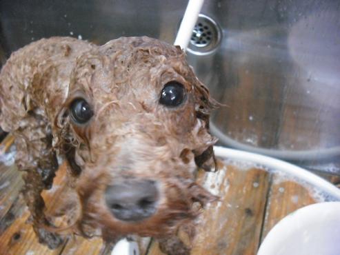 ファイル 3556-2.jpg