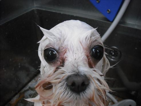 ファイル 3557-2.jpg