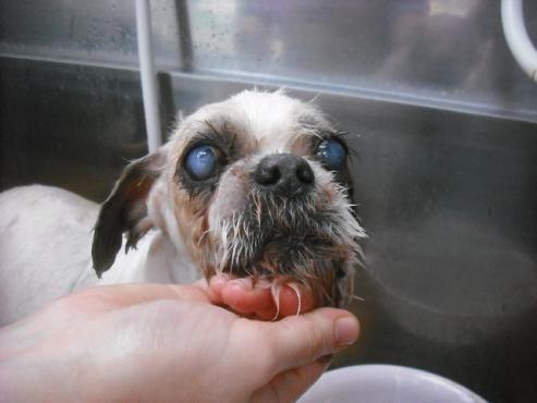 ファイル 3558-2.jpg