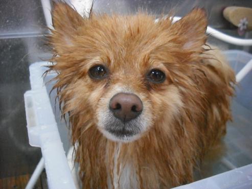 ファイル 3559-2.jpg