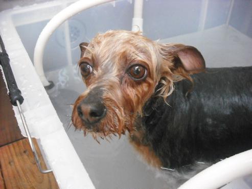 ファイル 356-3.jpg