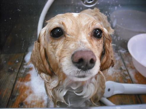 ファイル 3560-2.jpg