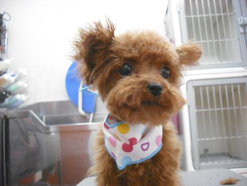 ファイル 3561-2.jpg