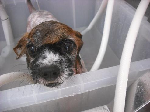 ファイル 3562-2.jpg