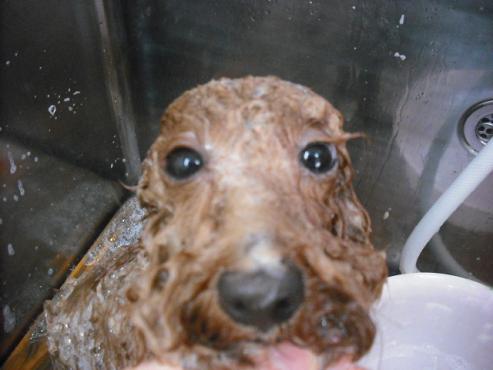 ファイル 3563-2.jpg