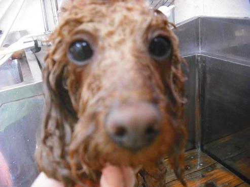 ファイル 3564-2.jpg