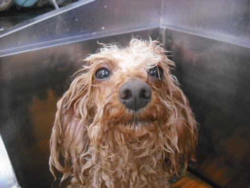 ファイル 3565-2.jpg