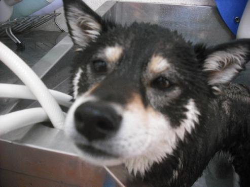 ファイル 3566-2.jpg