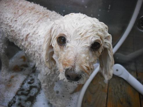 ファイル 3567-2.jpg