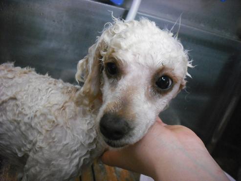 ファイル 3568-2.jpg