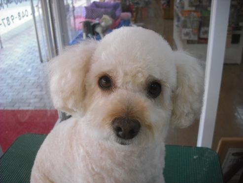 ファイル 3569-1.jpg