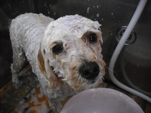 ファイル 3569-2.jpg