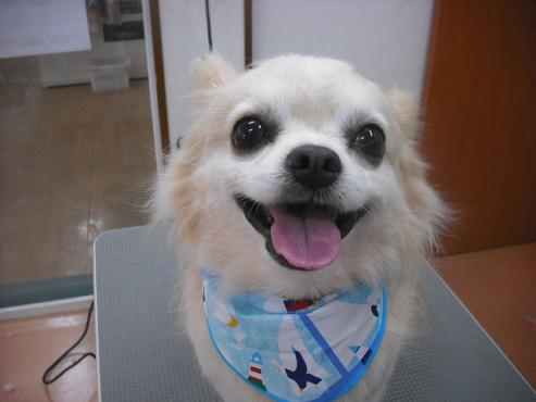 ファイル 357-1.jpg