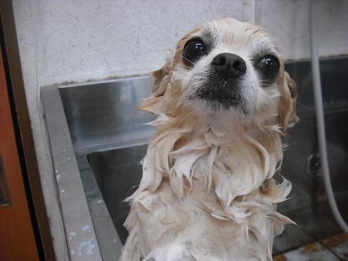 ファイル 357-2.jpg