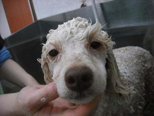 ファイル 3570-2.jpg