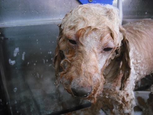 ファイル 3571-2.jpg