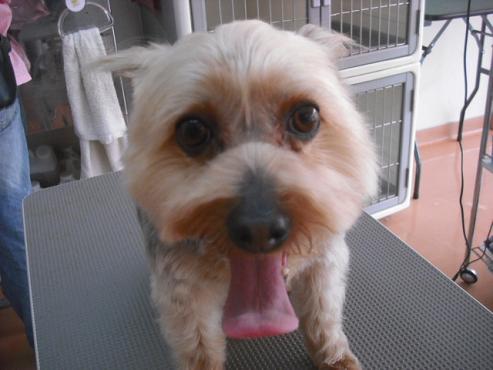 ファイル 3573-1.jpg