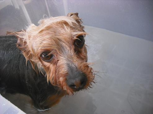 ファイル 3573-2.jpg