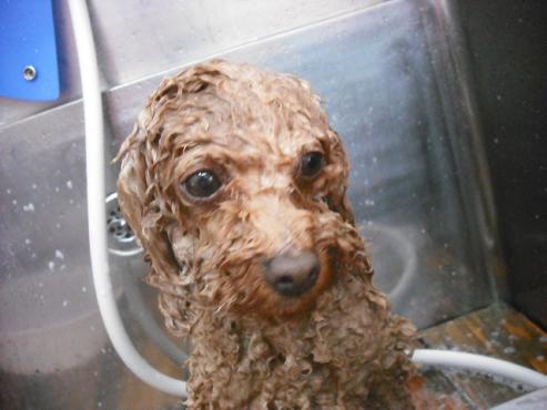 ファイル 3574-2.jpg