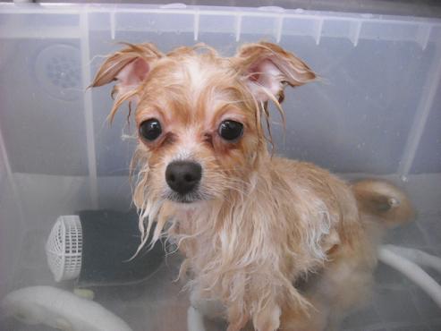 ファイル 3576-2.jpg