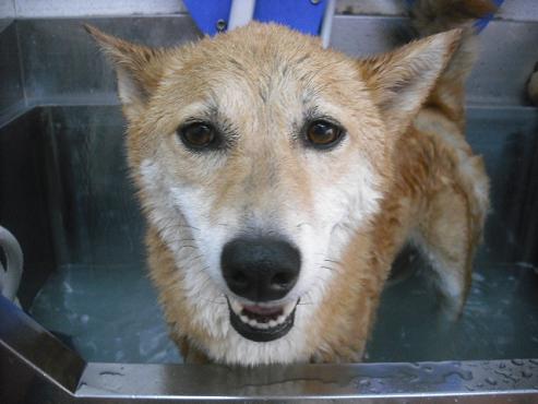 ファイル 3578-2.jpg