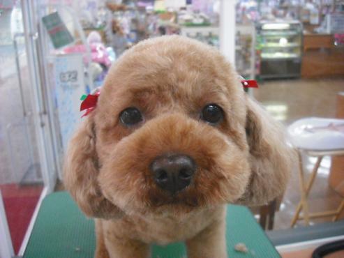 ファイル 3579-1.jpg