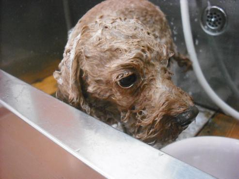 ファイル 3579-2.jpg