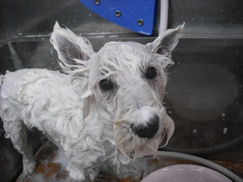 ファイル 358-3.jpg