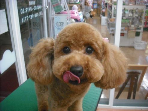 ファイル 3580-1.jpg