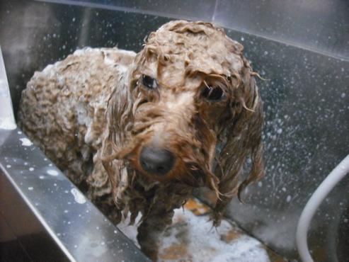 ファイル 3580-2.jpg