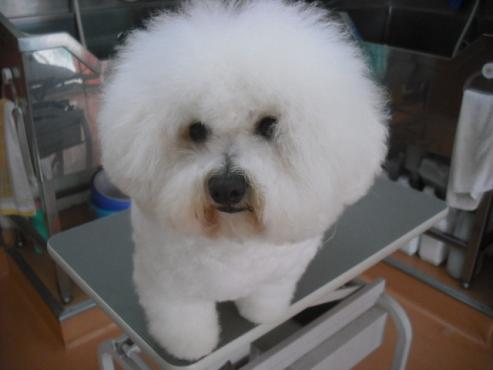 ファイル 3581-1.jpg